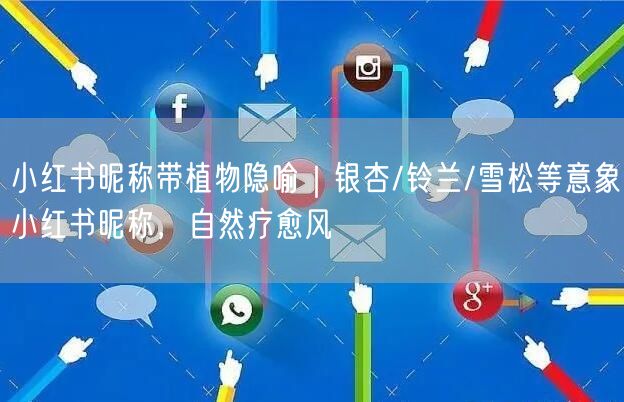 小红书昵称带植物隐喻｜银杏/铃兰/雪松等