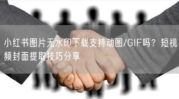小红书图片无水印下载支持动图/GIF吗？