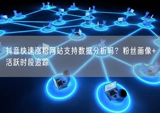 抖音快速涨粉网站支持数据分析吗？粉丝画像