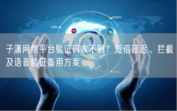 子潇网络平台验证码收不到？短信延迟、拦截